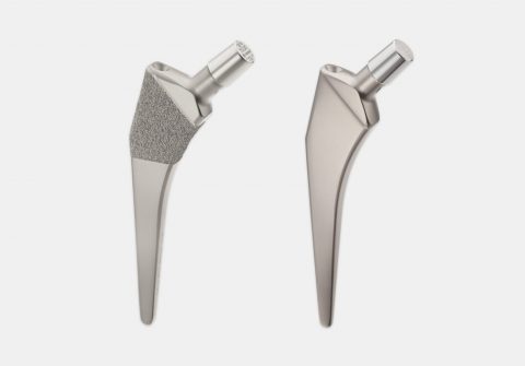 IntraBlock™ TwinStem™ - Stems for non-cemented and cemnted use - hip arthtroplasty